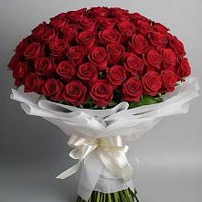 Букет 101 Красная роза Блэк Мэджик в Воле