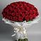 Букет 101 Красная роза Блэк Мэджик в Воле