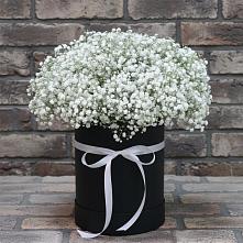 Цветочная композиция из Гипсофила в шляпной коробке в Воле